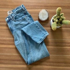 Everlane Skinny Ankle Jeans
